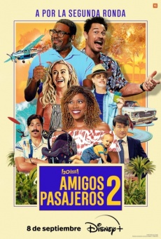 Imagen de Amigos pasajeros 2