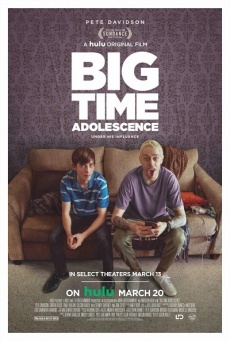 Imagen de Big time adolescence