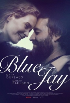 Imagen de Blue Jay