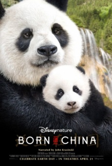 Imagen de Born in China