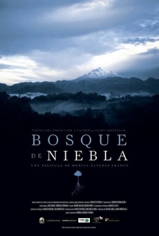 Imagen de Bosque de niebla