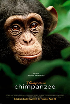 Imagen de Chimpanzee