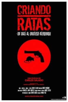 Imagen de Criando ratas