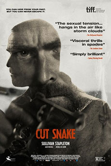 Imagen de Cut Snake