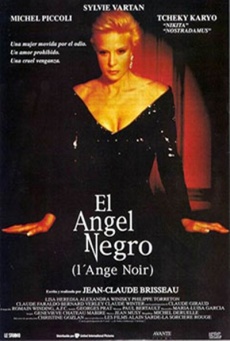 Imagen de El ángel negro