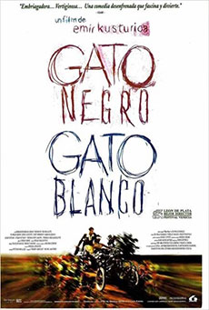 Imagen de Gato negro, gato blanco