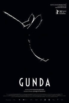 Imagen de Gunda