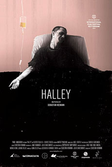 Imagen de Halley