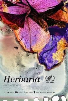 Imagen de Herbaria