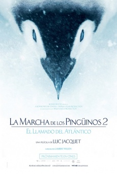 Imagen de La marcha de los pingüinos 2: El llamado del Atlántico