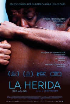 Imagen de La herida (The Wound)