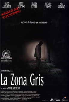 Imagen de La zona gris