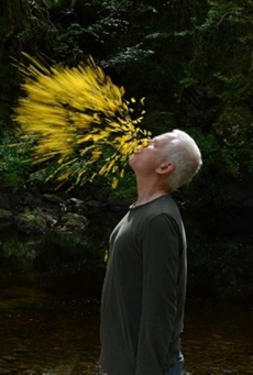 Imagen de Leaning Into the Wind: Andy Goldsworthy