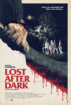 Imagen de Lost After Dark