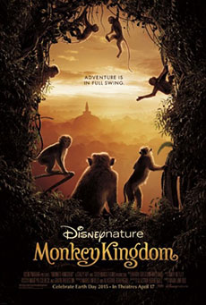 Imagen de Monkey Kingdom