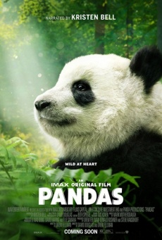 Imagen de Pandas