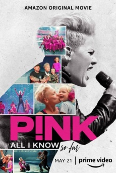 Imagen de P!nk: Todo lo que sé hasta ahora