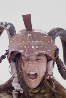 Imagen de Polaris