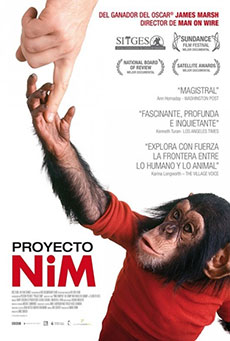 Imagen de Proyecto Nim