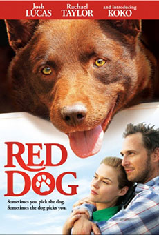 Imagen de Red Dog, una historia de lealtad