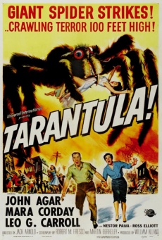 Imagen de Tarántula