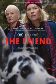 Imagen de The Friend