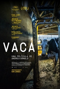 Imagen de Vaca