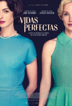 Imagen de Vidas perfectas