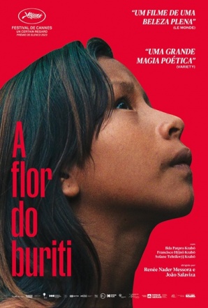 Imagen de La flor del Burití