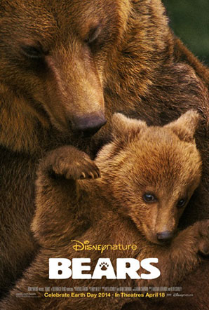 Imagen de Bears