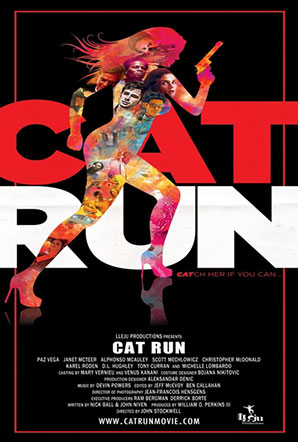 Imagen de Cat Run