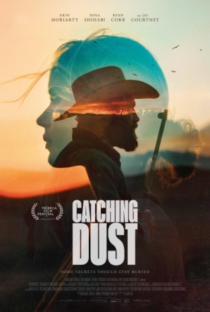 Imagen de Catching Dust