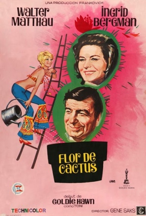 Imagen de Flor de cactus