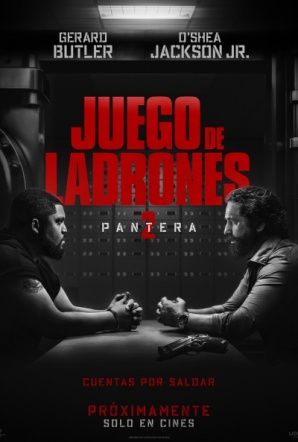 Imagen de Juego de ladrones 2: Pantera