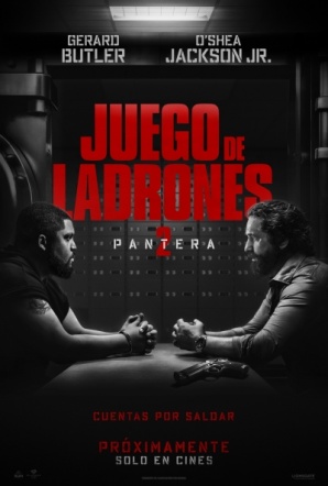 Imagen de Juego de ladrones 2: Pantera