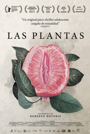 Imagen de Las plantas