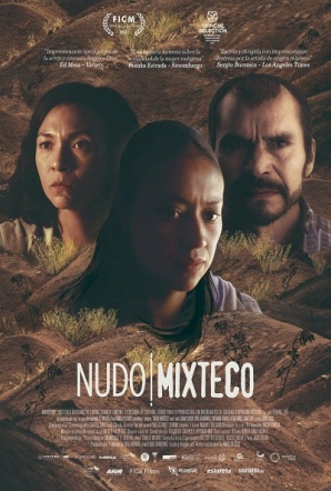 Imagen de Nudo mixteco