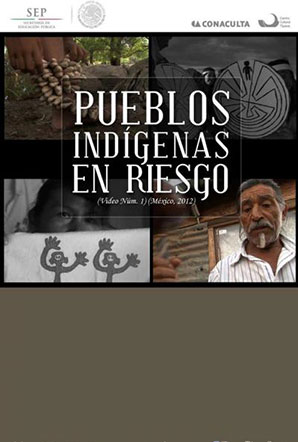 Imagen de Pueblos indígenas en riesgo