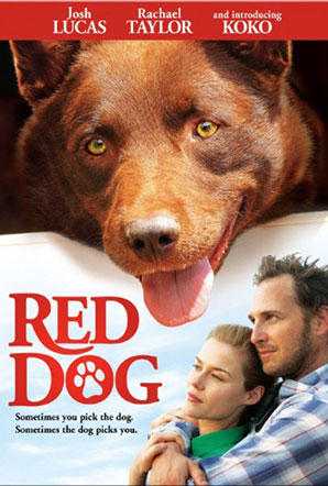 Imagen de Red Dog, una historia de lealtad