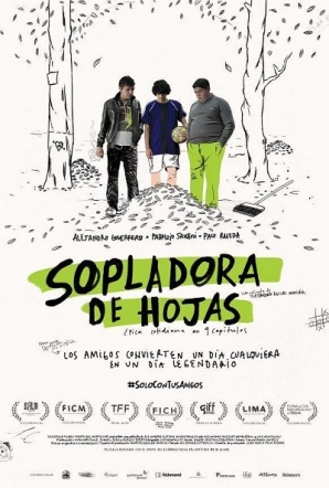 Imagen de Sopladora de hojas