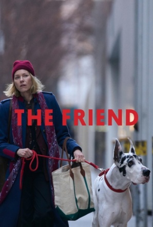 Imagen de The Friend