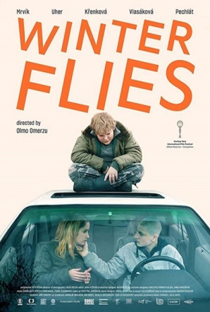 Imagen de Winter Flies