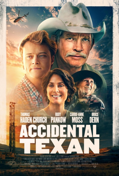 Póster de Accidental Texan