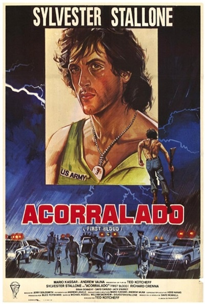 Póster de Acorralado