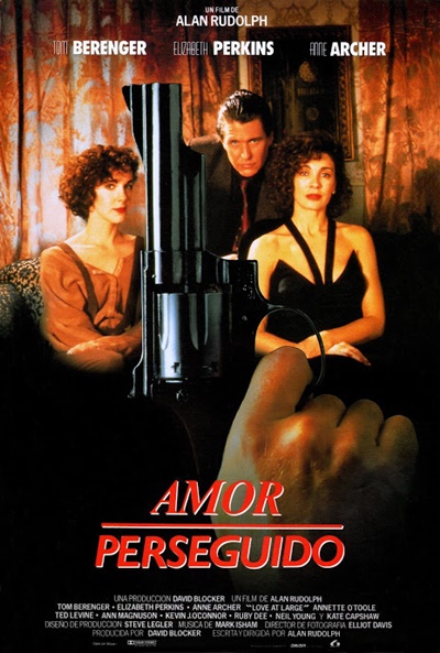 Póster de Amor perseguido