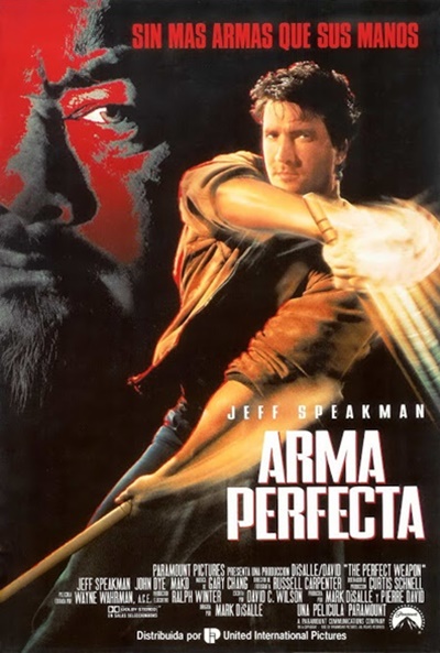 Póster de Arma perfecta