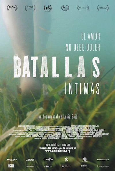 Póster de Batallas íntimas