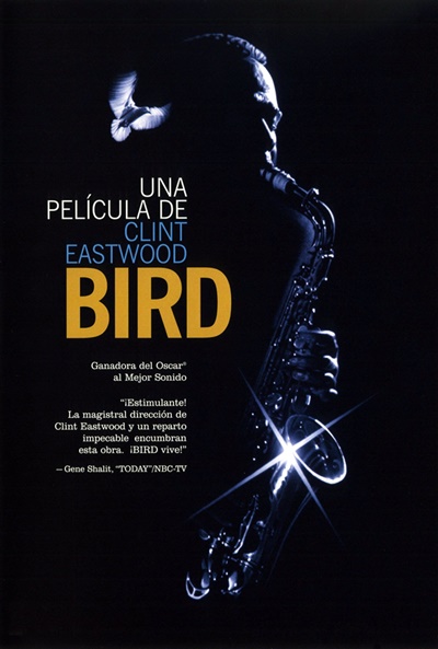 Póster de Bird