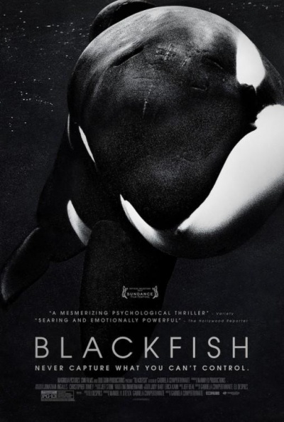 Póster de Blackfish