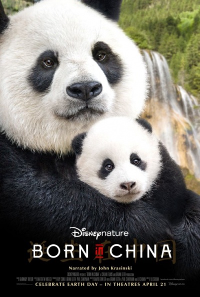 Póster de Born in China